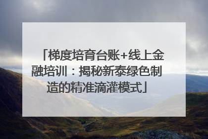 梯度培育台账+线上金融培训：揭秘新泰绿色制造的精准滴灌模式