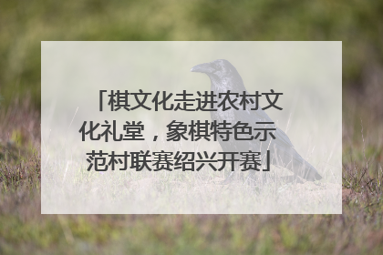 棋文化走进农村文化礼堂，象棋特色示范村联赛绍兴开赛