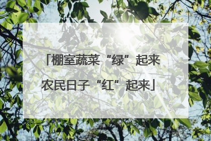 棚室蔬菜“绿”起来 农民日子“红”起来