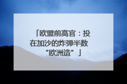 欧盟前高官：投在加沙的炸弹半数“欧洲造”