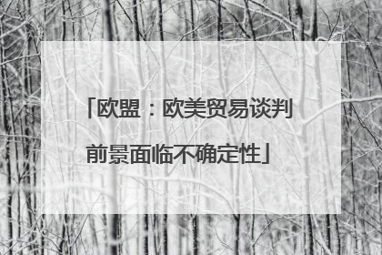 欧盟：欧美贸易谈判前景面临不确定性
