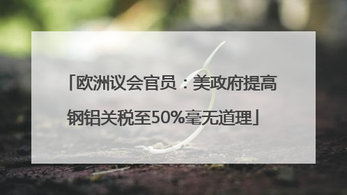 欧洲议会官员：美政府提高钢铝关税至50%毫无道理