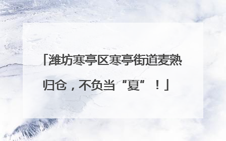 潍坊寒亭区寒亭街道麦熟归仓，不负当“夏”！