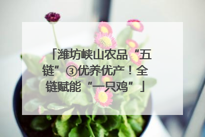 潍坊峡山农品“五链”③优养优产！全链赋能“一只鸡”
