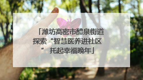 潍坊高密市醴泉街道探索“智慧医养进社区” 托起幸福晚年