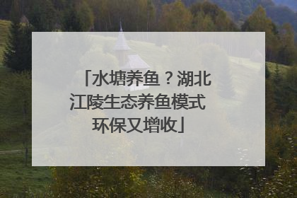 水塘养鱼？湖北江陵生态养鱼模式环保又增收