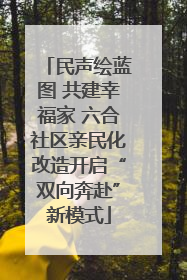民声绘蓝图 共建幸福家 六合社区亲民化改造开启“双向奔赴”新模式