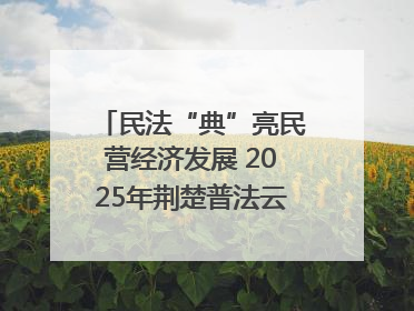民法“典”亮民营经济发展 2025年荆楚普法云课堂第二期在武汉客厅开讲
