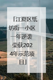 江夏区纸坊街一小区一年逆袭 荣获2024年示范项目