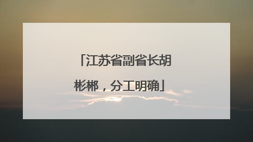 江苏省副省长胡彬郴，分工明确