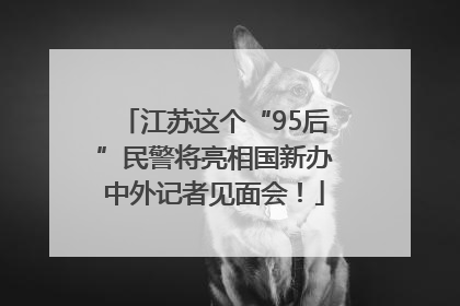 江苏这个“95后”民警将亮相国新办中外记者见面会！