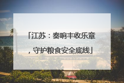 江苏：奏响丰收乐章，守护粮食安全底线