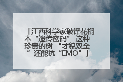 江西科学家破译花榈木“遗传密码” 这种珍贵的树 “才貌双全”还能抗“EMO”