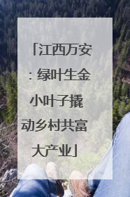 江西万安：绿叶生金 小叶子撬动乡村共富大产业