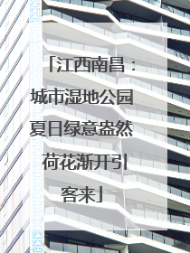江西南昌：城市湿地公园夏日绿意盎然 荷花渐开引客来