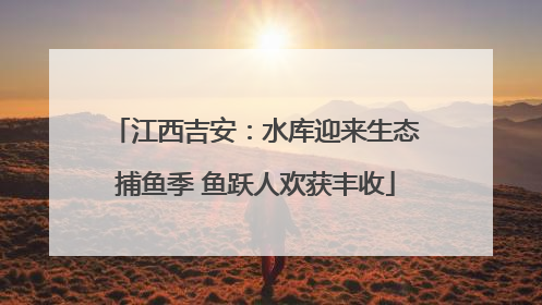江西吉安：水库迎来生态捕鱼季 鱼跃人欢获丰收