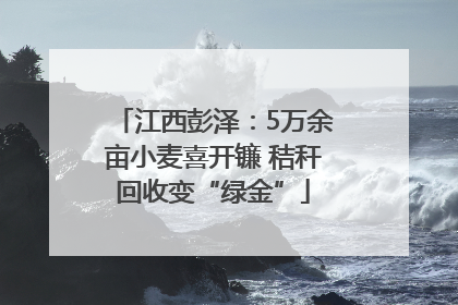 江西彭泽：5万余亩小麦喜开镰 秸秆回收变“绿金”