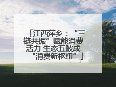 江西萍乡：“三链共振”赋能消费活力 生态五陂成“消费新枢纽”