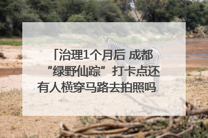 治理1个月后 成都“绿野仙踪”打卡点还有人横穿马路去拍照吗？｜民情瞭望