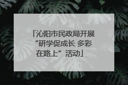 沁阳市民政局开展“研学促成长 多彩在路上”活动