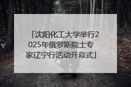 沈阳化工大学举行2025年俄罗斯院士专家辽宁行活动开幕式