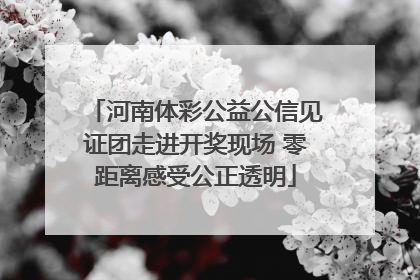 河南体彩公益公信见证团走进开奖现场 零距离感受公正透明