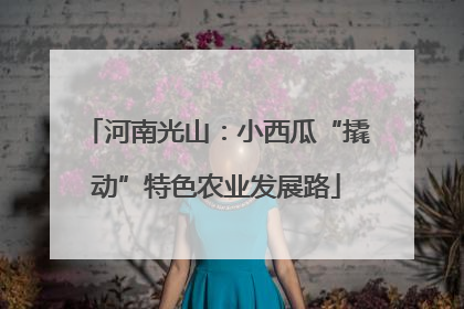 河南光山：小西瓜“撬动”特色农业发展路