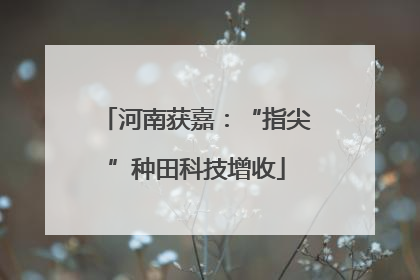 河南获嘉：“指尖”种田科技增收