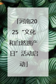 河南2025“文化和自然遗产日”活动启动