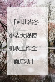 河北省冬小麦大规模机收工作全面启动