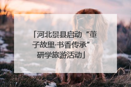 河北景县启动“董子故里·书香传承”研学旅游活动