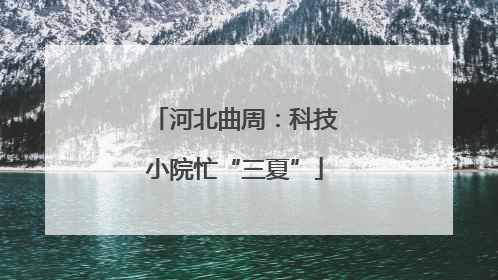 河北曲周：科技小院忙“三夏”