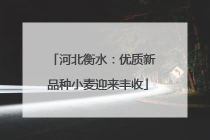 河北衡水：优质新品种小麦迎来丰收