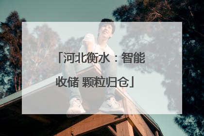 河北衡水：智能收储 颗粒归仓