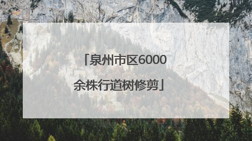 泉州市区6000余株行道树修剪