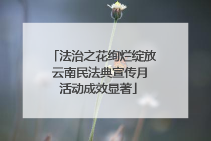法治之花绚烂绽放 云南民法典宣传月活动成效显著