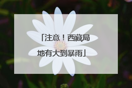 注意！西藏局地有大到暴雨