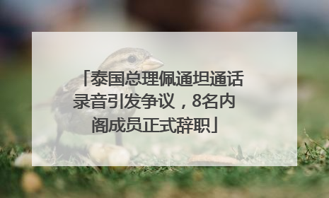 泰国总理佩通坦通话录音引发争议，8名内阁成员正式辞职