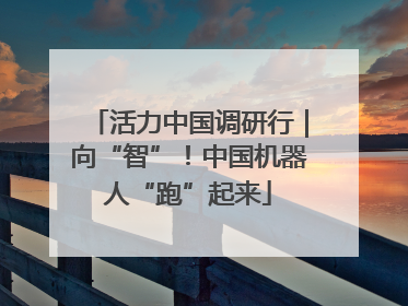 活力中国调研行｜向“智”！中国机器人“跑”起来