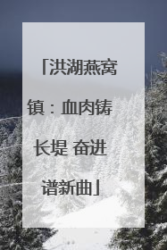 洪湖燕窝镇：血肉铸长堤 奋进谱新曲