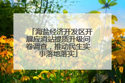 海盐经济开发区开展应消站提质升级问卷调查，推动民生实事落地落实