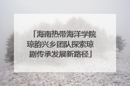 海南热带海洋学院琼韵兴乡团队探索琼剧传承发展新路径