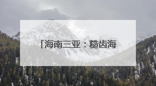 海南三亚：糙齿海豚被成功放归大海