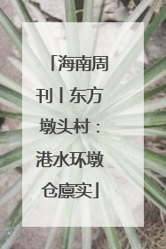 海南周刊丨东方墩头村：港水环墩仓廪实