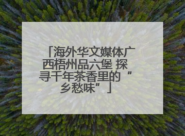 海外华文媒体广西梧州品六堡 探寻千年茶香里的“乡愁味”