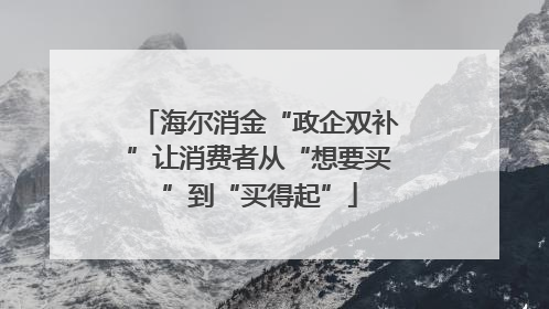 海尔消金“政企双补”让消费者从“想要买”到“买得起”