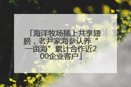 海洋牧场插上共享翅膀，老尹家海参认养“一亩海”累计合作近200企业客户