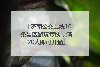 济南公交上线10条景区游玩专线，满20人即可开通