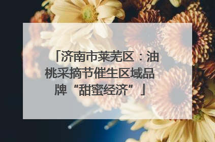济南市莱芜区：油桃采摘节催生区域品牌“甜蜜经济”
