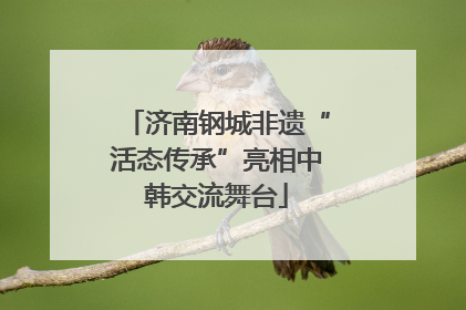 济南钢城非遗“活态传承”亮相中韩交流舞台